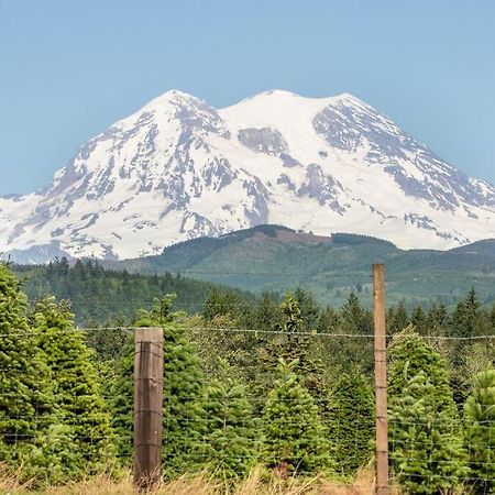 R & R Chalet At Mt. Rainier アッシュフォード エクステリア 写真