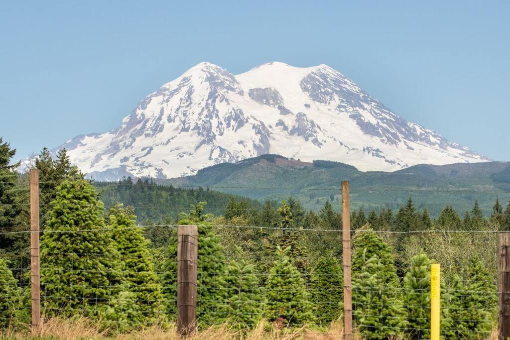 R & R Chalet At Mt. Rainier アッシュフォード エクステリア 写真
